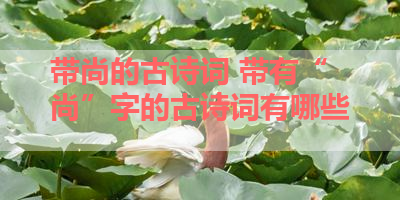 带尚的古诗词 带有“尚”字的古诗词有哪些 
