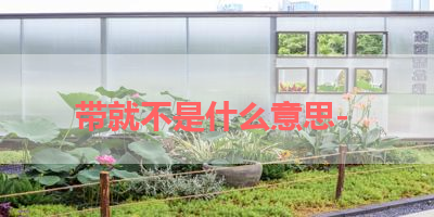 带就不是什么意思- 