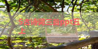 5古诗词三首ppt五上 