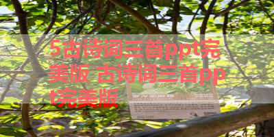 5古诗词三首ppt完美版 古诗词三首ppt完美版