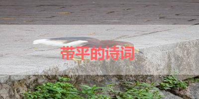 带平的诗词 