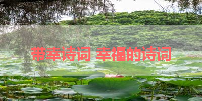带幸诗词 幸福的诗词