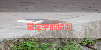 带庄字的诗词 