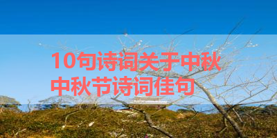 10句诗词关于中秋 中秋节诗词佳句