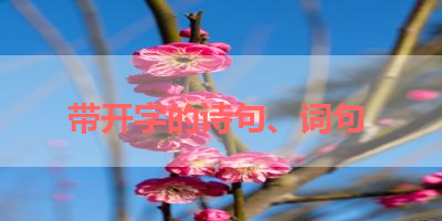 带开字的诗句、词句 