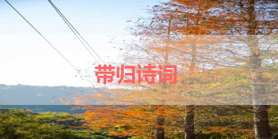 带归诗词 