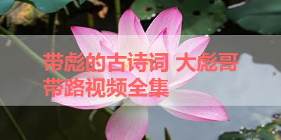 带彪的古诗词 大彪哥带路视频全集