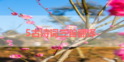 5古诗词三首翻译 