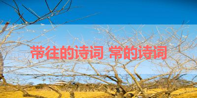 带往的诗词 常的诗词