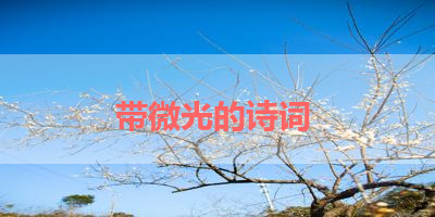 带微光的诗词 