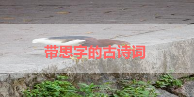 带思字的古诗词 