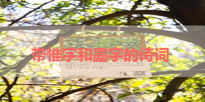 带惟字和墨字的诗词 