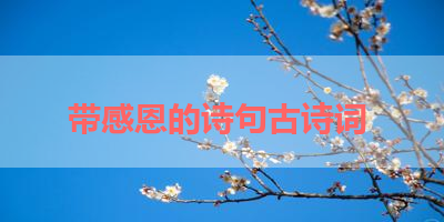 带感恩的诗句古诗词 