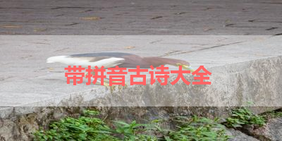 带拼音古诗大全 