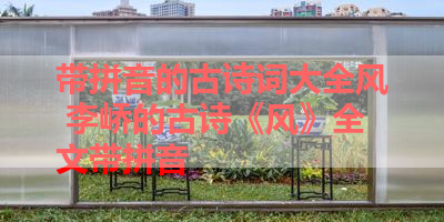 带拼音的古诗词大全风 李峤的古诗《风》全文带拼音 