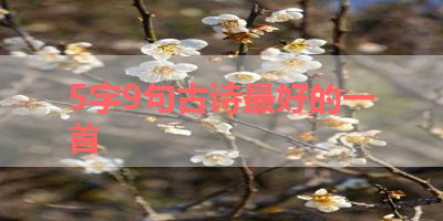 5字9句古诗最好的一首 