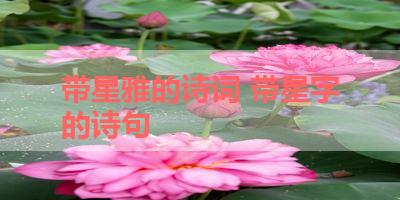 带星雅的诗词 带星字的诗句 