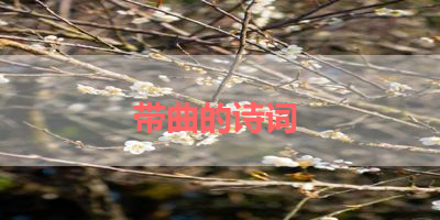 带曲的诗词 