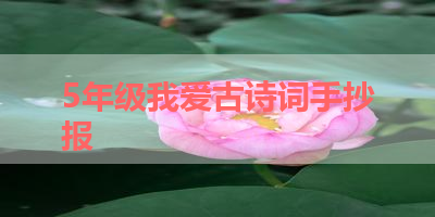 5年级我爱古诗词手抄报 
