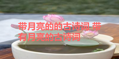 带月亮的的古诗词 带有月亮的古诗词