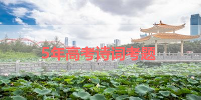 5年高考诗词考题 