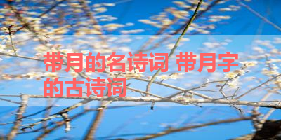 带月的名诗词 带月字的古诗词