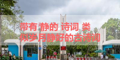 带有 静的 诗词 类似岁月静好的古诗词