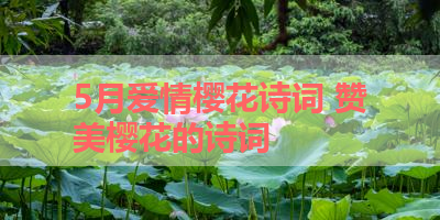 5月爱情樱花诗词 赞美樱花的诗词 