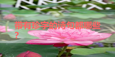 带有珍字的诗句都哪些？ 