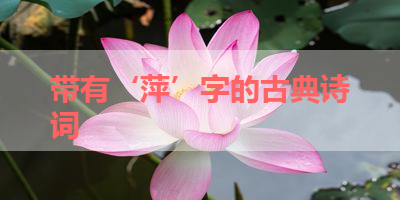 带有‘萍’字的古典诗词 