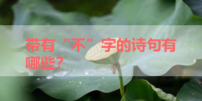 带有“不”字的诗句有哪些？ 