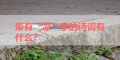 带有“凉”字的诗词有什么？ 