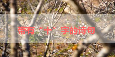 带有“十”字的诗句 