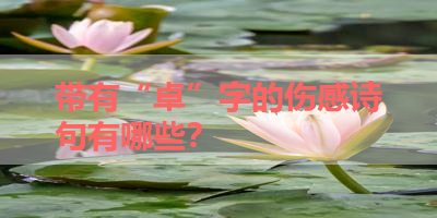 带有“卓”字的伤感诗句有哪些？ 