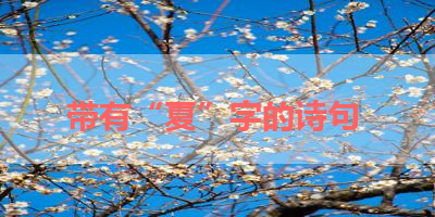 带有“夏”字的诗句 