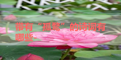 带有“孤鹜”的诗词有哪些- 