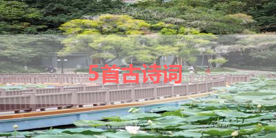 5首古诗词 