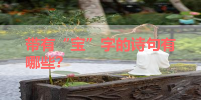 带有“宝”字的诗句有哪些？ 
