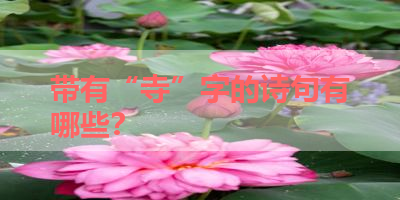 带有“寺”字的诗句有哪些？ 
