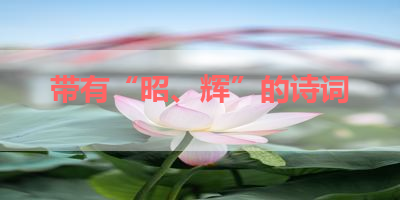 带有“昭、辉”的诗词 