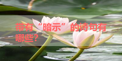 带有“暗示”的诗句有哪些？ 
