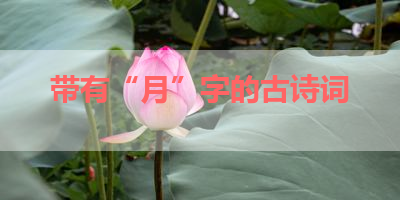带有“月”字的古诗词 