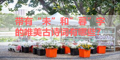 带有“未”和”暮”字的唯美古诗词有哪些？ 
