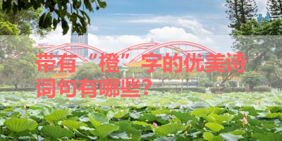 带有“橙”字的优美诗词句有哪些？ 