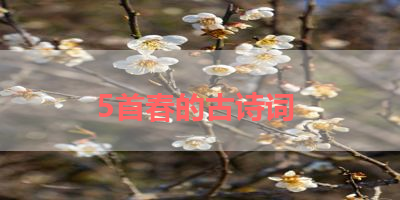 5首春的古诗词 