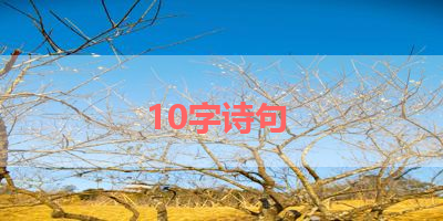 10字诗句 