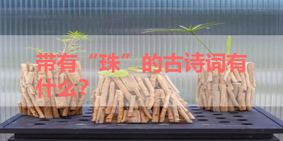 带有“珠”的古诗词有什么？ 