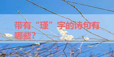 带有“瑾”字的诗句有哪些？ 