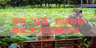 带有“红霞”的诗句有哪些 关于红霞的诗句