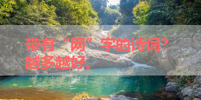 带有“网”字的诗词？越多越好。 
